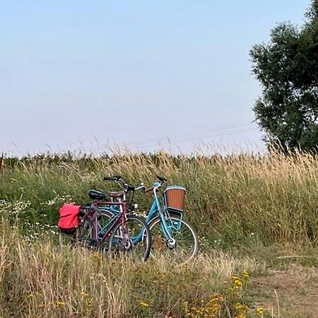 Lwb Ferienwohnung "Auszeit Im Denkmal" Wittenberg Exteriör bild