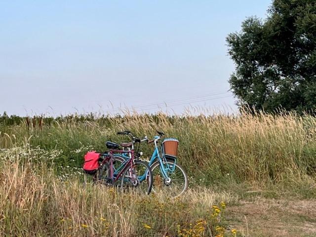 Lwb Ferienwohnung "Auszeit Im Denkmal" Wittenberg Exteriör bild